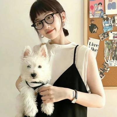 呆呆计划