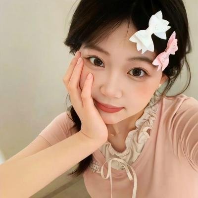 模范家族